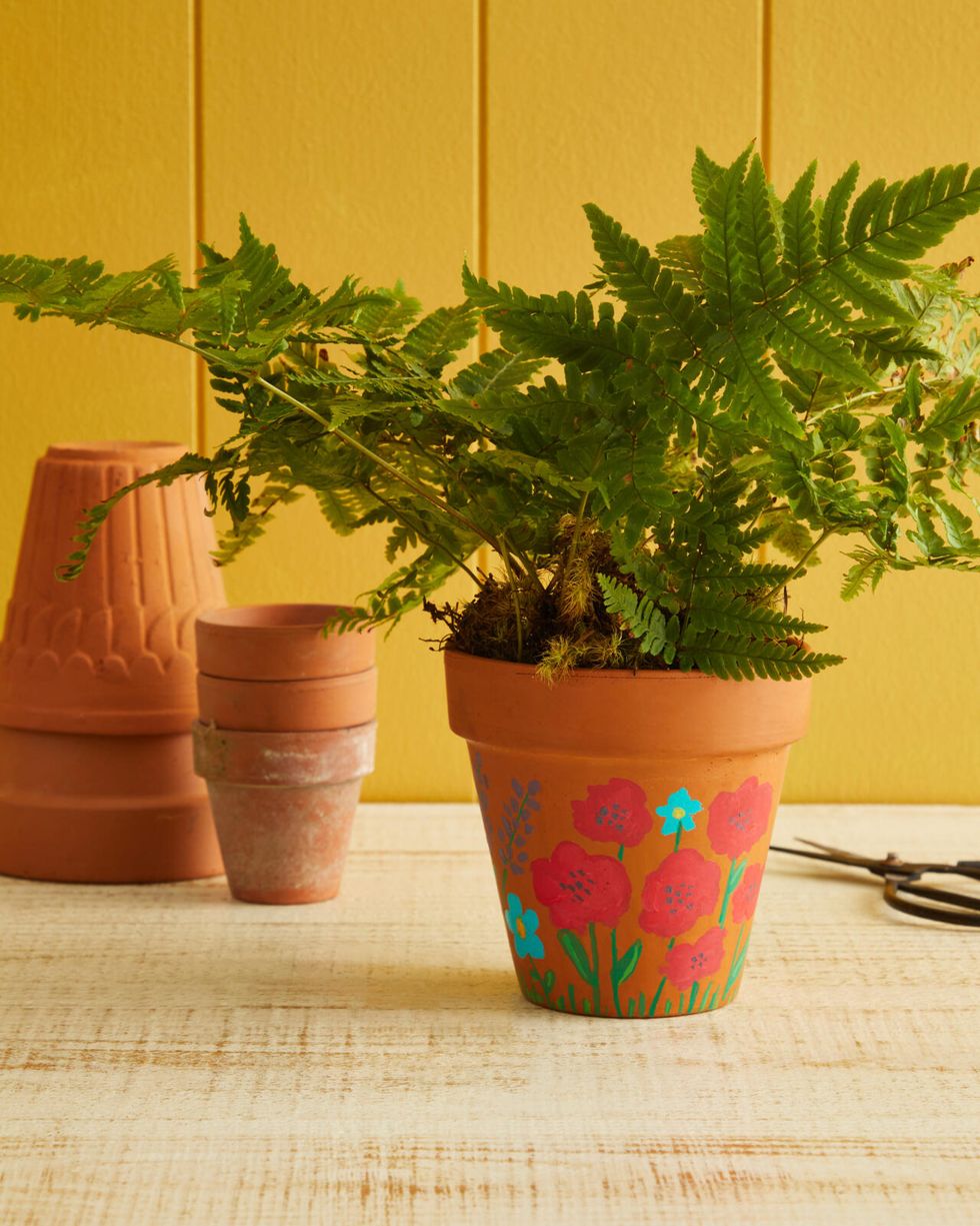 Terracotta plants with painted flowers, some additional pots filled with ferns in the background