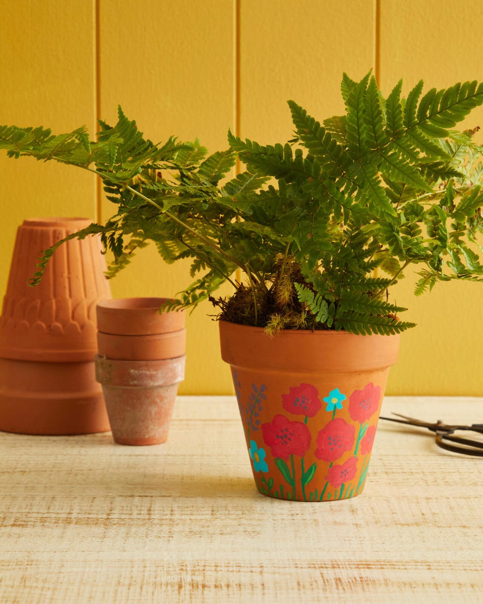 terracotta plant with flowers painted on it filled with a fern a few extra pots in the backgroun