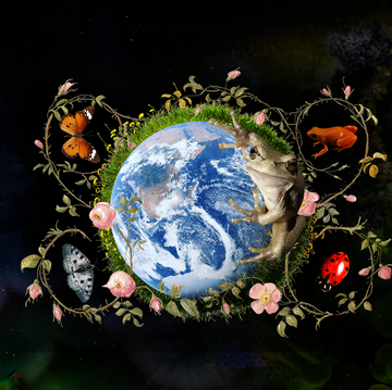 a globe surrounded by plants