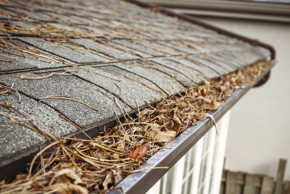eavestrough clogged with leaves v