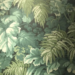 ‘Royal Fernery’ wallpaper, £195 per roll, Cole & Son