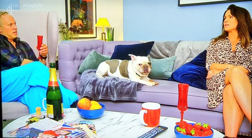 susanna reid and robert rinder on celebrity gogglebox