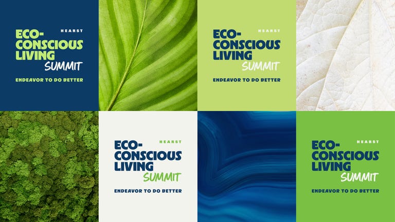 eco conscious summit
