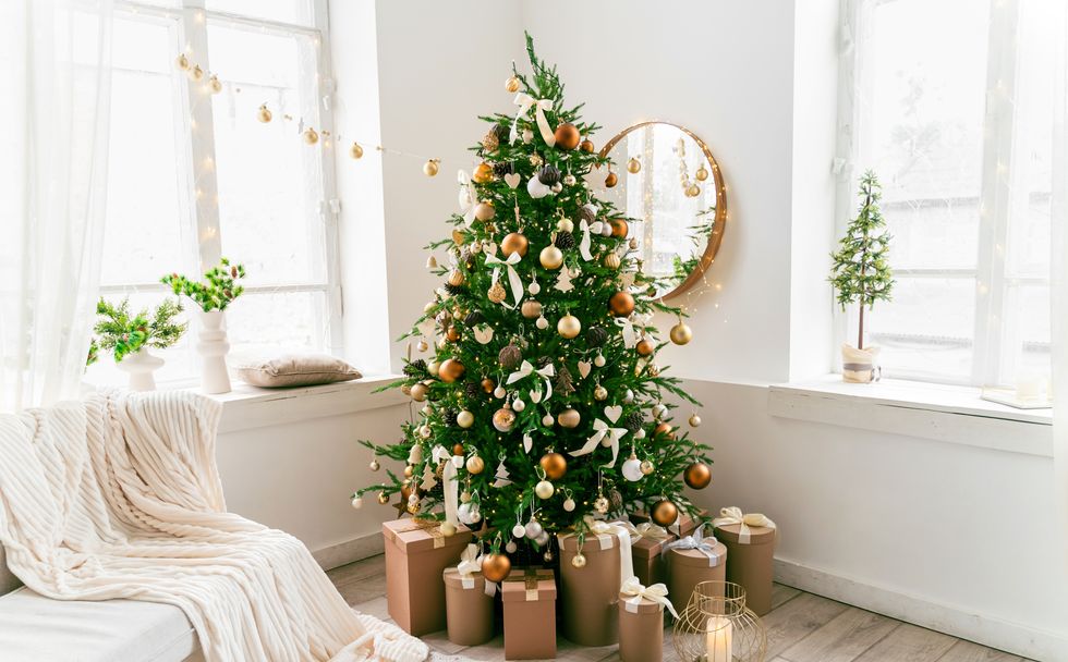 How to choose an eco-friendly Christmas tree