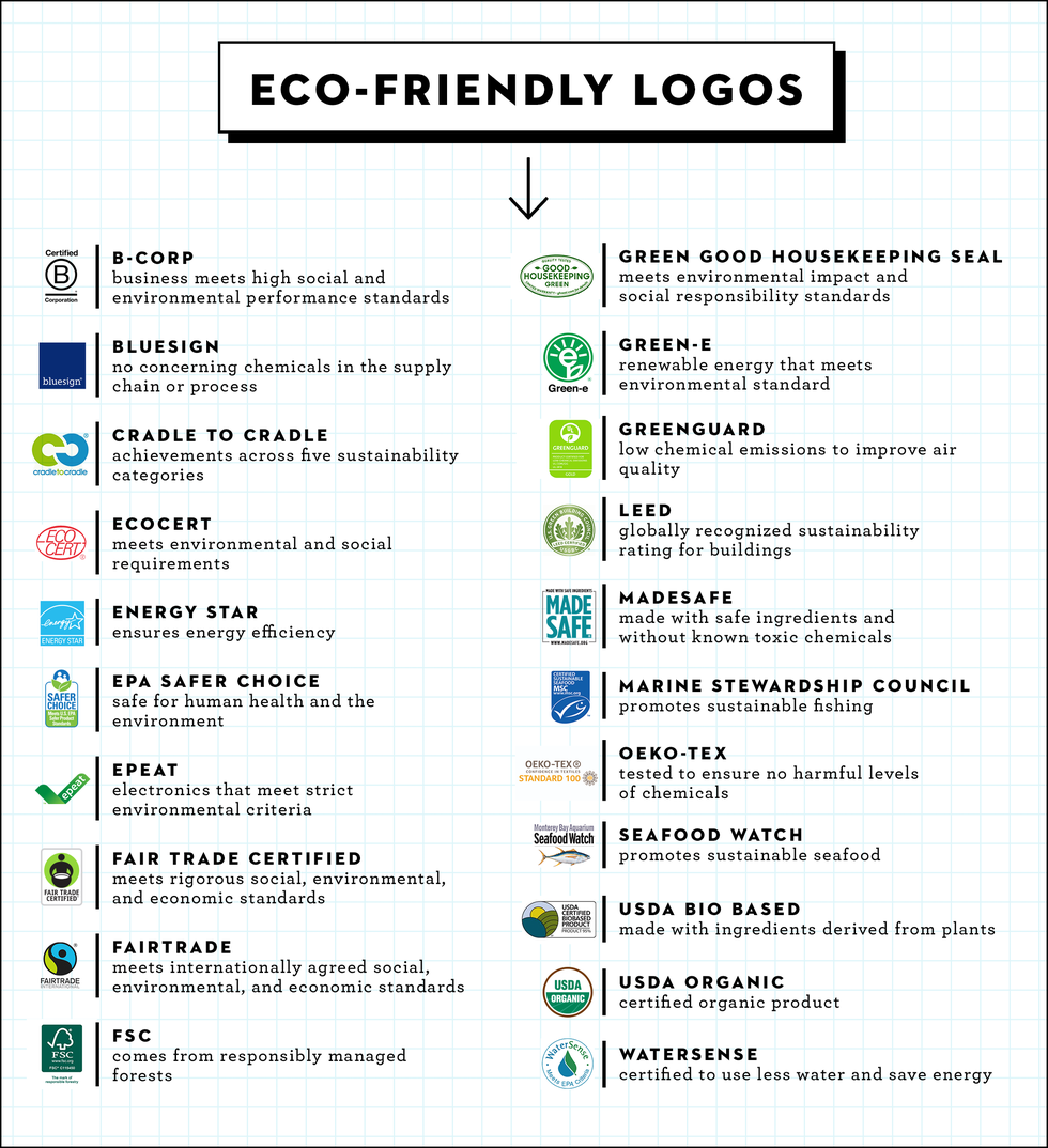 What Does Eco-Friendly Mean? Difference Between Sustainable and Green  Products