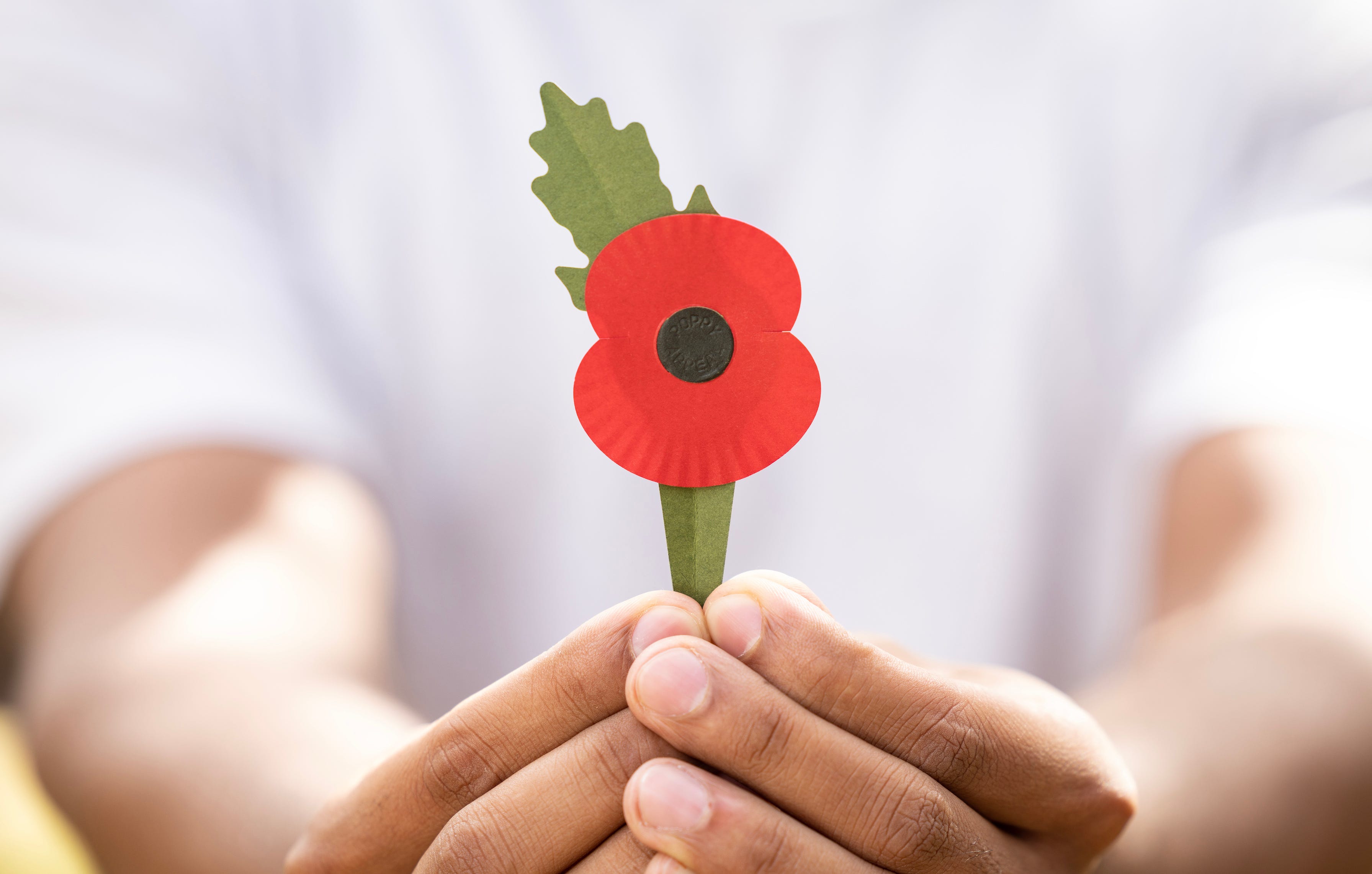 Eco Friendly Modern Burial Options: Sustainable Remembrance - knccyhp