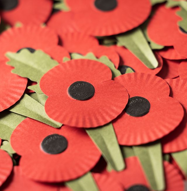 Remembrance Day: Where does the money you spend on Poppy Appeal actually go?