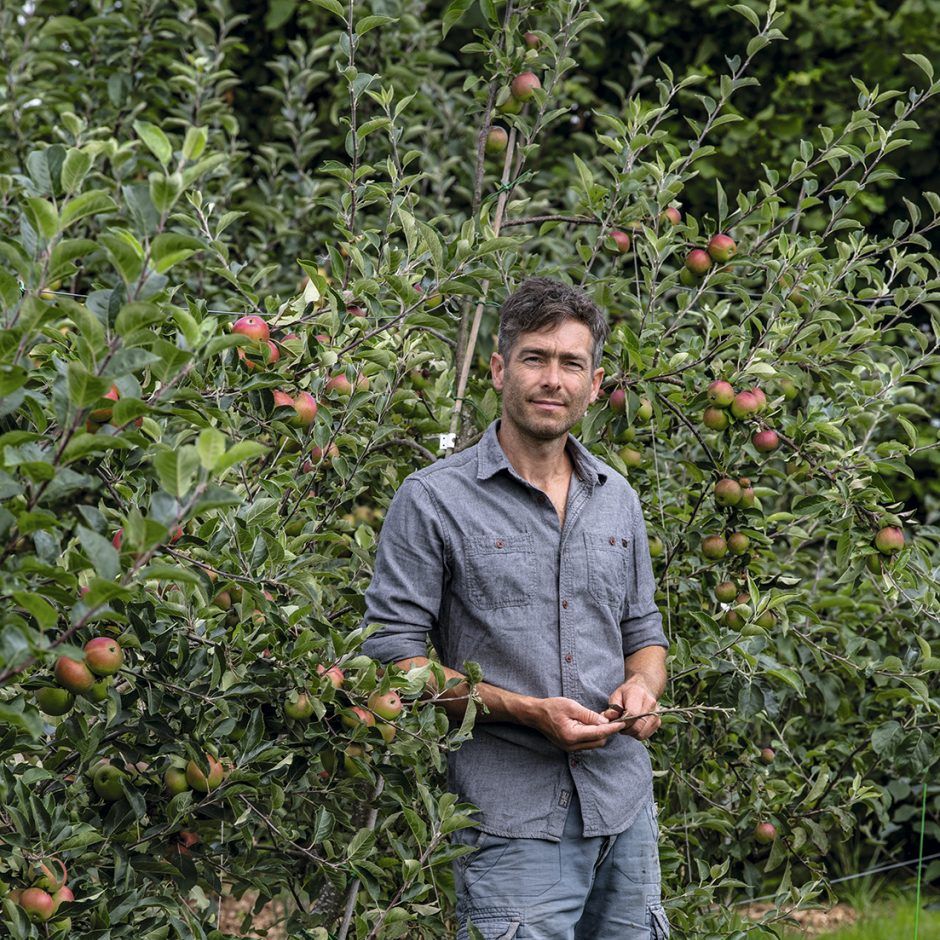 tom the appleman standing in front of apple trees