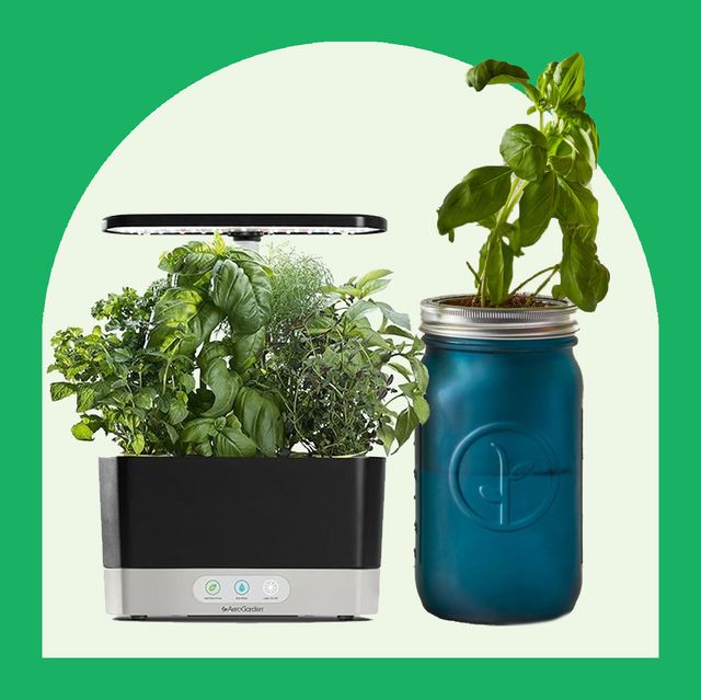 10 Charming Indoor Herb Garden Planters 2022