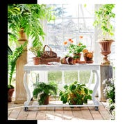 potting table by Bunny Williams potting table by bunny williams