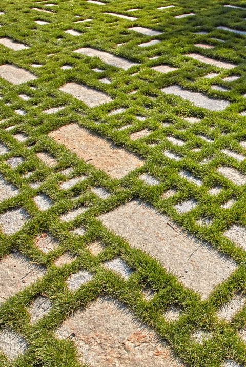 Grass, Maze, Grass family, Labyrinth, Plant, Landscape, Groundcover, Field, Pattern, Bird's-eye view, 