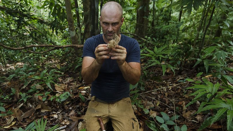 The Strange And Powerful Magic Of Ed Stafford's First Man Out | Esquire