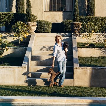 ellen pompeo plays with her toy poodles gigi and valentin, beside the swimming pool at her home in the hollywood hills