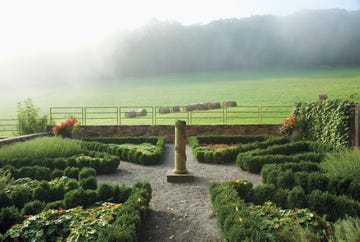 large structured garden area with lots of fog and a pedestal column at center