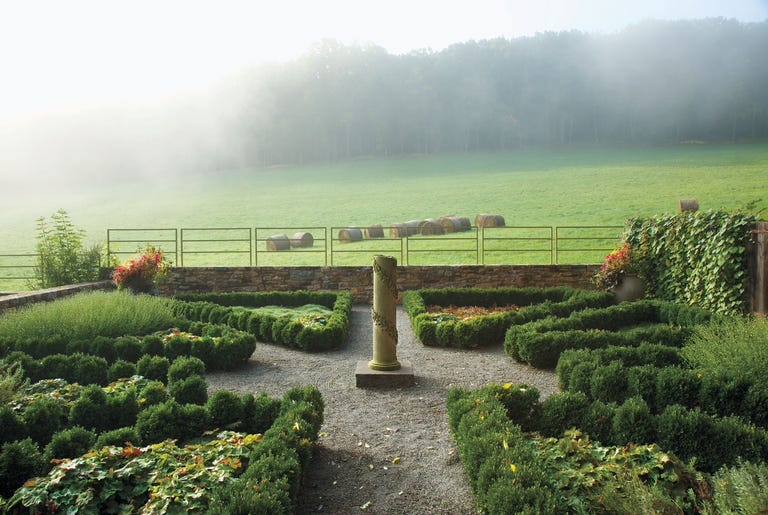 London Calling Garden Flowers in Mist