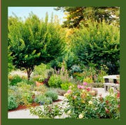 Leslie Bennett - ELLE DECOR on the left is leslie bennett standing in her garden smiling and holding some small purple flowers and on the right is a view of her garden with pink flowers in the foreground and path in the center with a bench and some beautiful trees behind