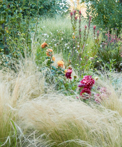 Leslie Bennett's Gardens Are Food For The Soul