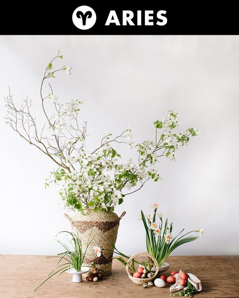 Flowerpot, Flower, Plant, Ikebana, Botany, Floristry, Cut flowers, Floral design, Flower Arranging, Bouquet, 