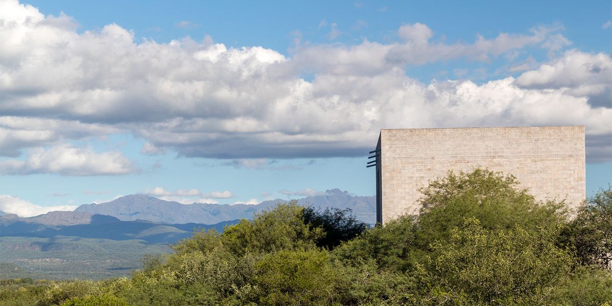 For a London Landscape Designer, a Wild Hilltop in Argentina Is a Creative Canvas