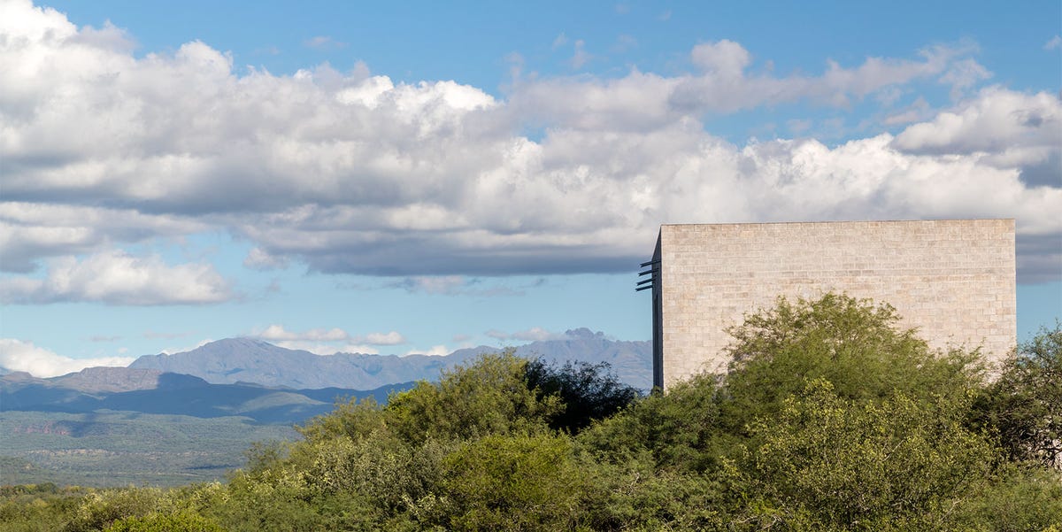 For a London Landscape Designer, a Wild Hilltop in Argentina Is a Creative Canvas