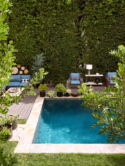 a rectangular swimming pool is surrounded by potted plants and a wall of tall manicured shrubs for privacy, woven wicker chairs and a sofa with blue cushions and side tables