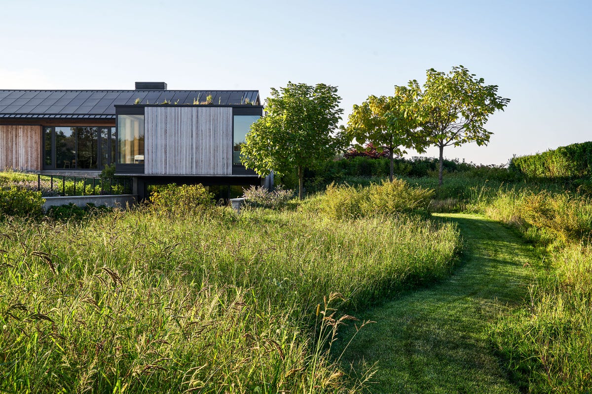 This Sunny Hamptons Retreat Is as Welcoming as It Is Eco-Friendly