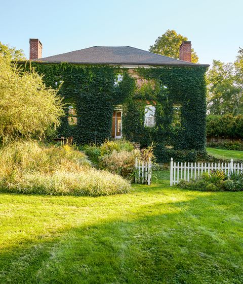 a two story 1770s ivy covered brick georgian home with twin chimneys, a white picket fence, and front door ajar sits amid grasses, shrubs, and bushes