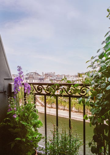 a view from a small terrace with flowering plants and ivy along an iron balustrade with decorative swirls, overlooking a river and city buildings beyond