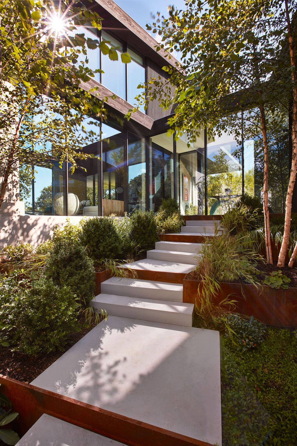 a courtyard's limestone steps lined with shrubs and grasses and birch trees lead to the main entry with floor to ceiling glass walls