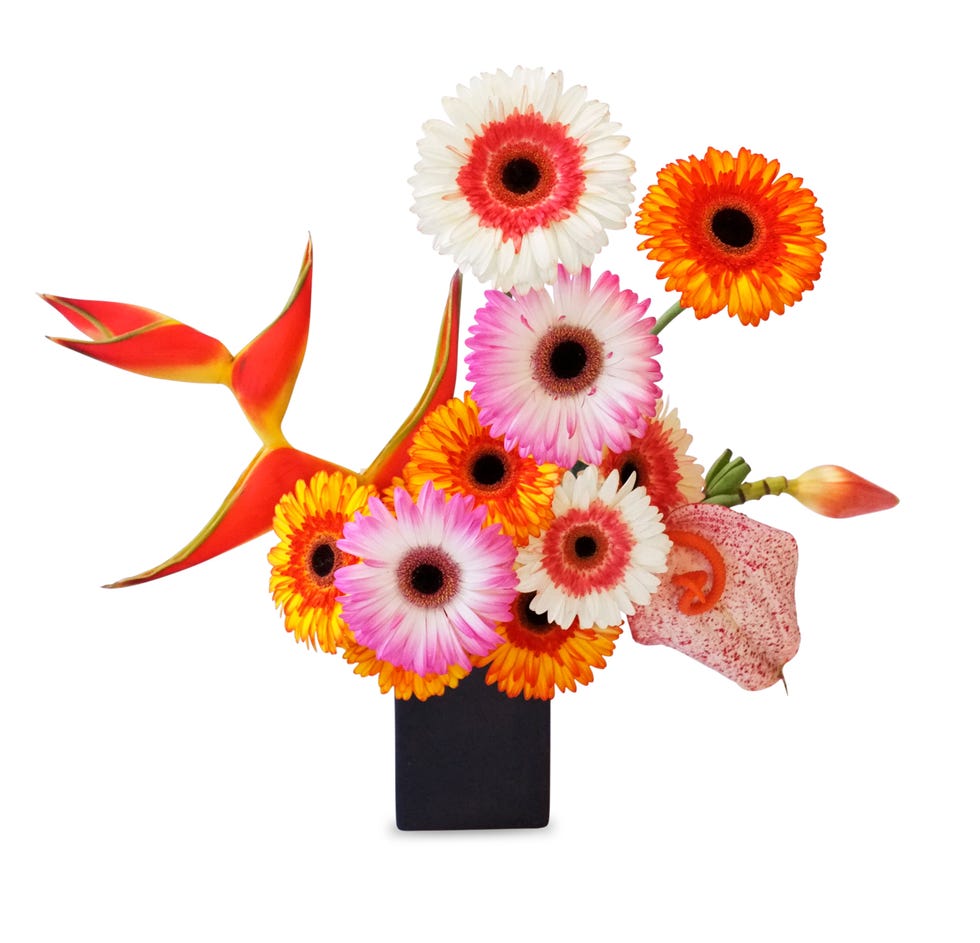 happy arrangement of pink and orange gerbera type daisies in a short black vase