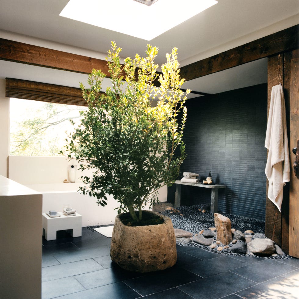 zen walk in showers