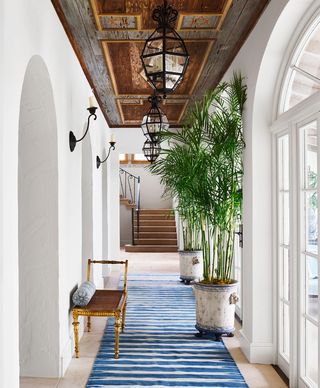open hallway with blue striped rug and hanging pendants and plants