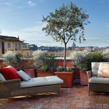 terrace with chaise and matching chairs and table and potted trees and shrubs and st peter's in the distance