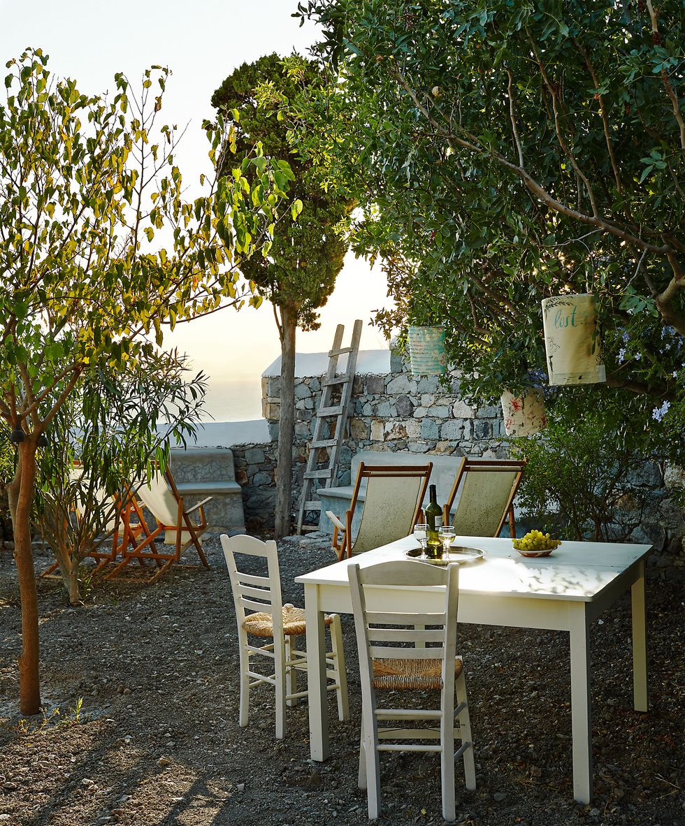 outside area with trees and a table with some wine and grapes on it