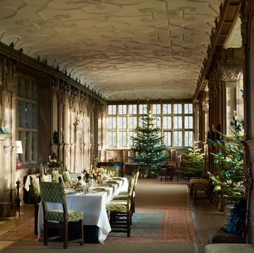 a long large english country house dining room with a chandelier and a table with flowers and trees at the end and on the side