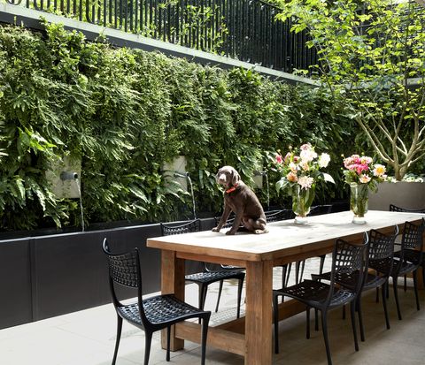 london townhouse outdoor space