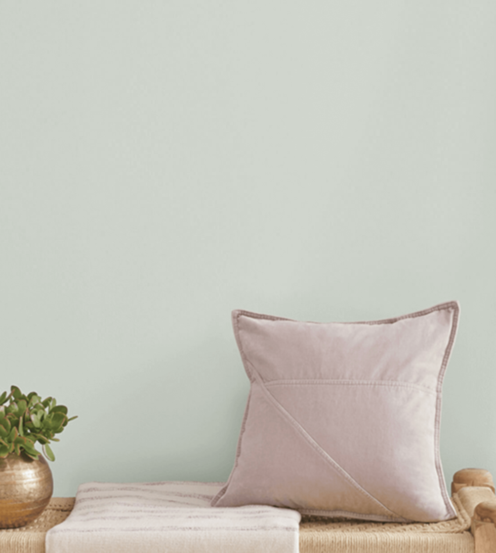 Decorative cushion and potted plant on a light-colored surface.