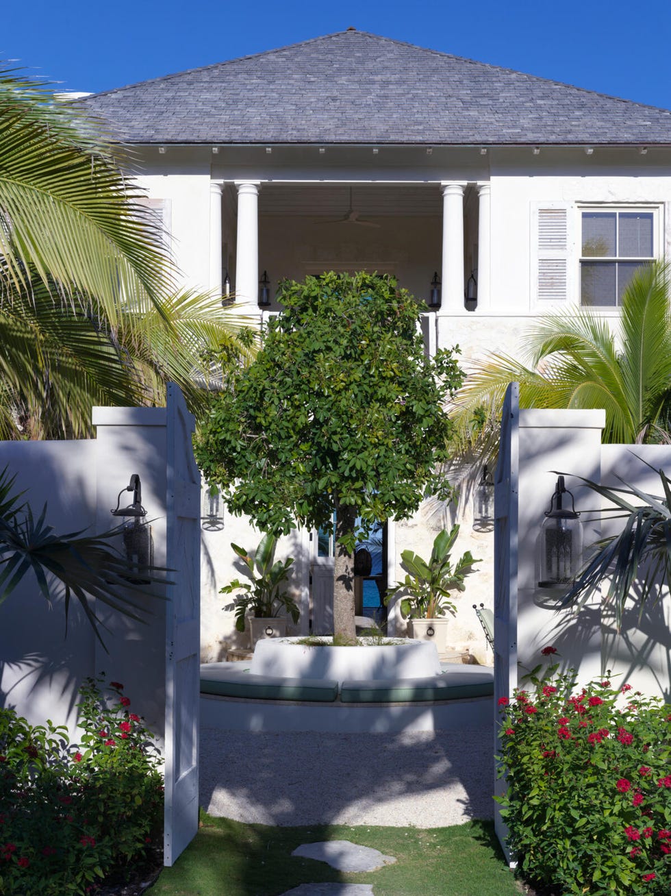 Photograph of a breezy, plant filled courtyard.