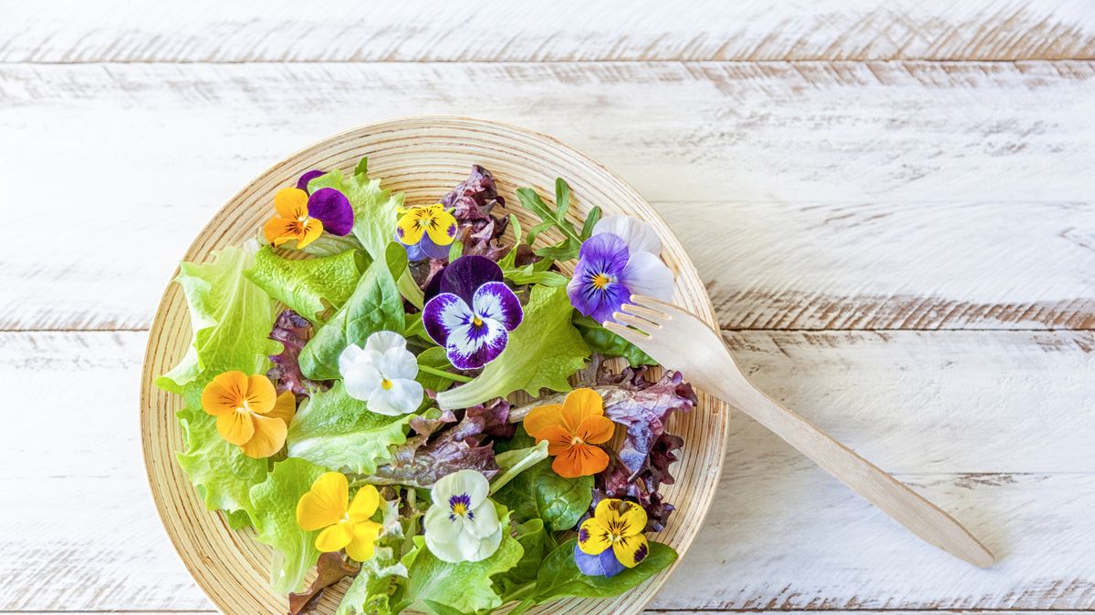 15 Flores comestibles que puedes tener en tu jardín para tus recetas