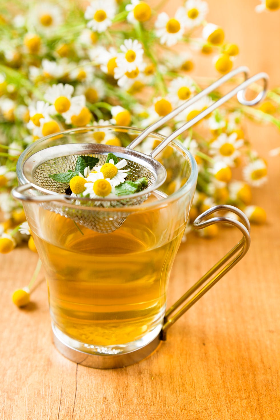 edible flowers of chamomile tea infusion on a freshly harvested buds and background more at natural herbs lightbox