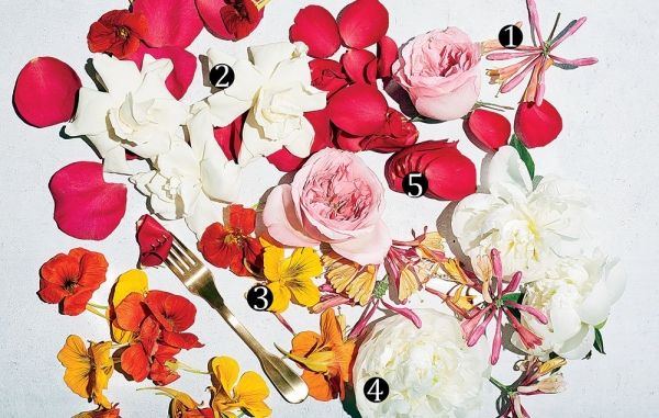 Cut flowers, Flower, Petal, Plant, Garden roses, Botany, Floral design, Rose, Still life photography, Bouquet, 