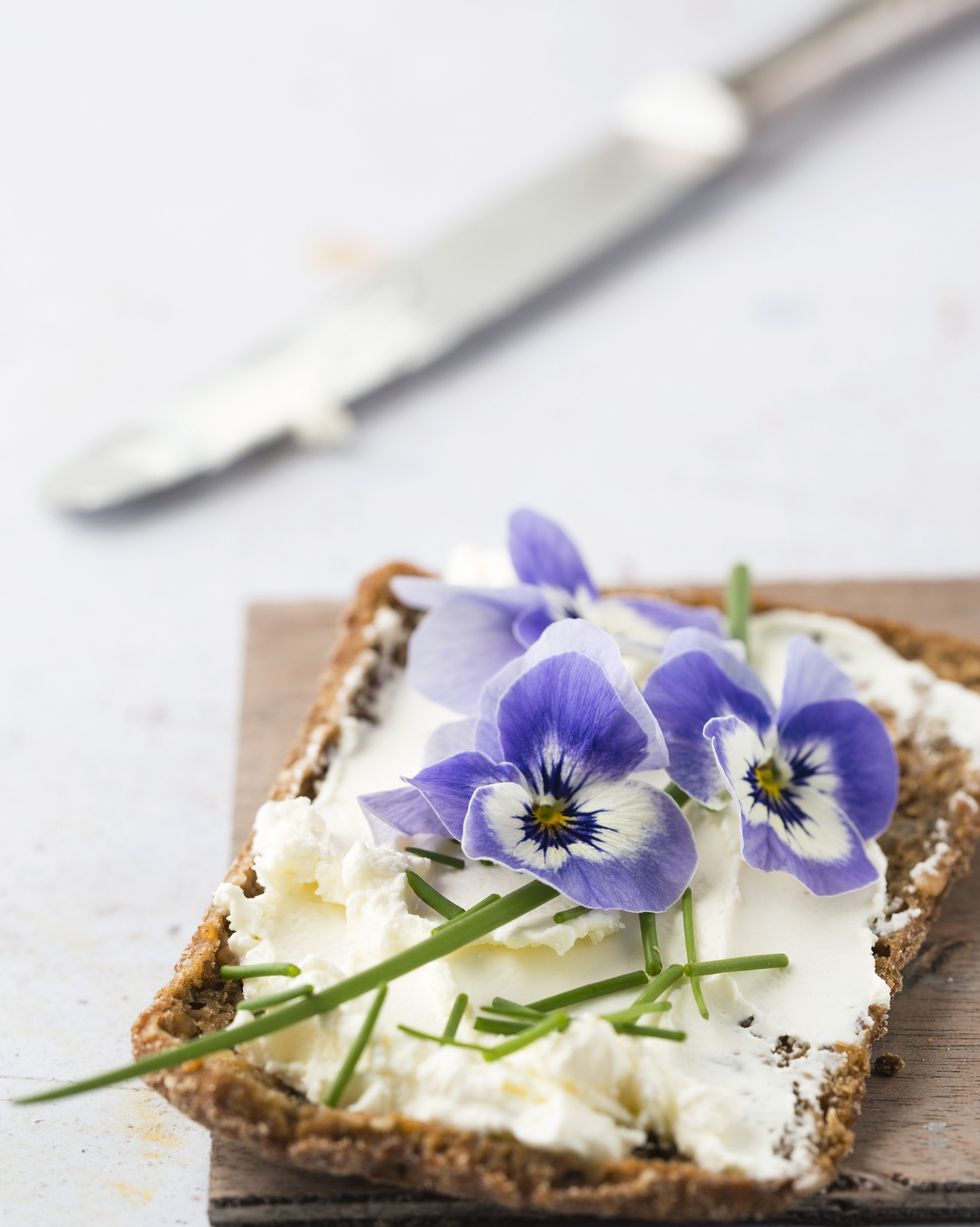 Best Edible Flowers - How to Cook with Pretty and Tasty Flowers