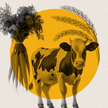 regenerative farming illustration regenerative farming illustration