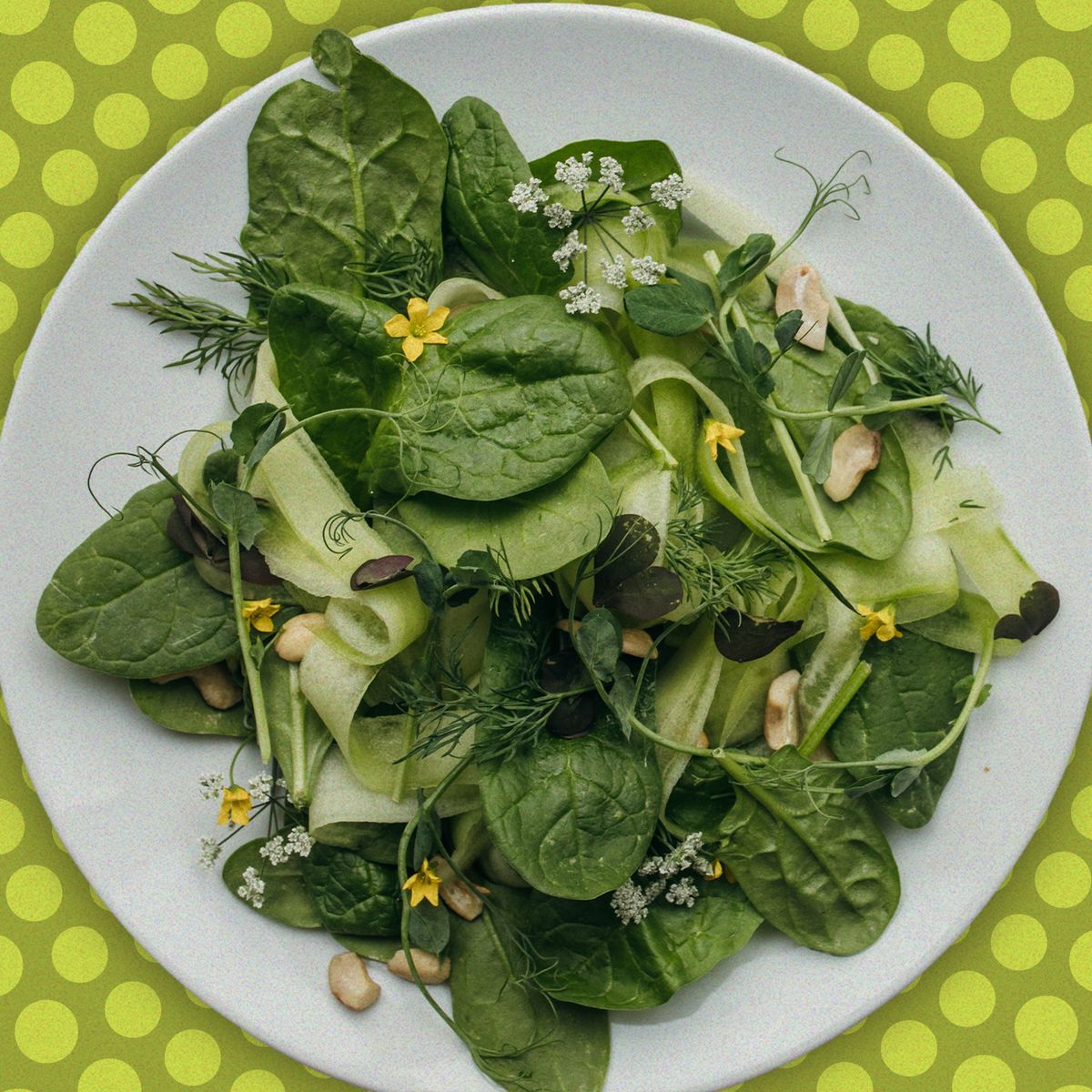 How to Use Up Salad Greens