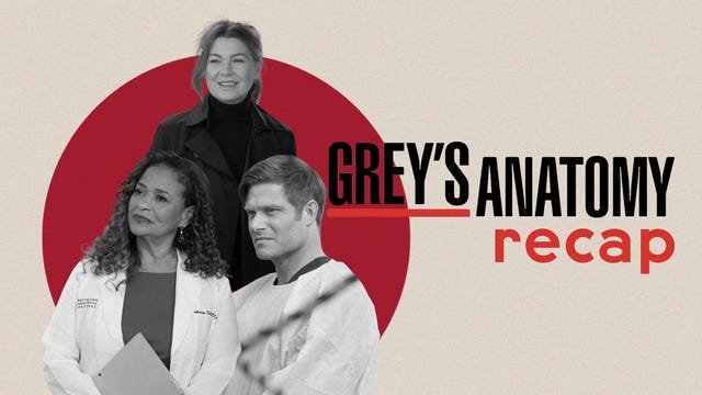 Your Official ‘Grey’s Anatomy’ Recap: Season 20, Episode 3