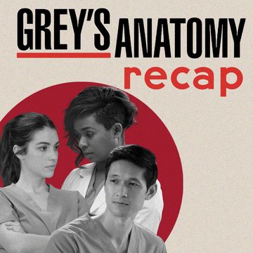 grey's anatomy recap season 20 episode 7