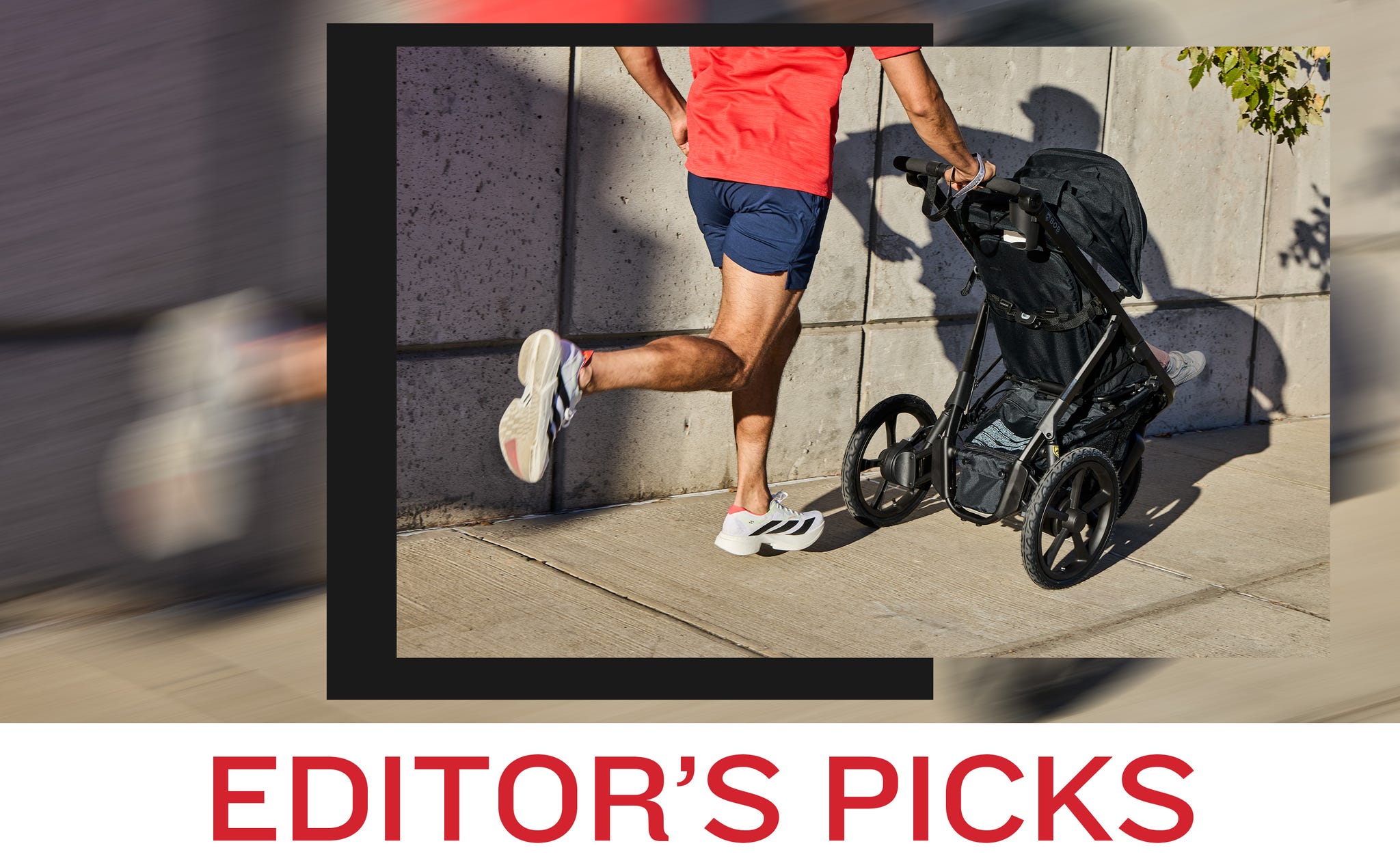 editors picks