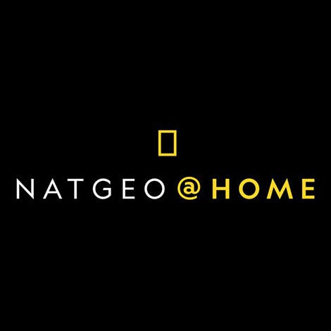education companies offering free subscriptions   nat geo at home logo