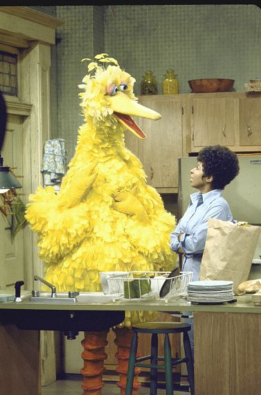 Big bird standing in a kitchen talking to an African-American woman