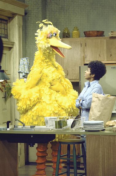 Big bird standing in a kitchen talking to an African-American woman